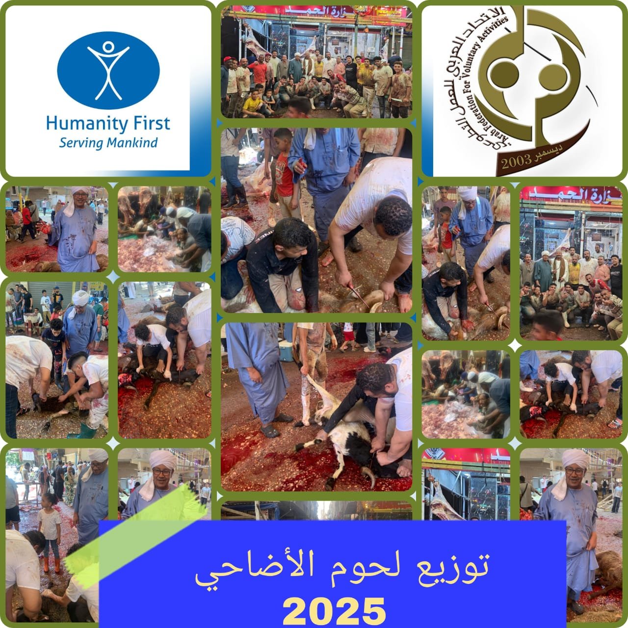 الاتحاد العربي للعمل التطوعي يختتم مشروع توزيع اللحوم لأكثر من 1500 أسرة سودانية في جمهورية مصر العربية